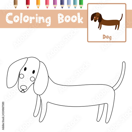 Coloring page Dachshund animal cartoon character vector illustration