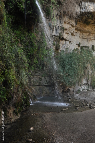 A green oasis with a waterfall and lakes in the Ein Gedi National Park in Israel on the Dead Sea