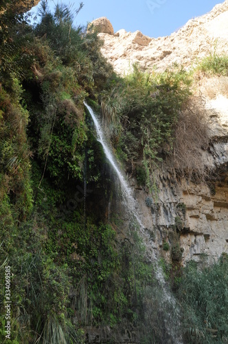 A green oasis with a waterfall and lakes in the Ein Gedi National Park in Israel on the Dead Sea