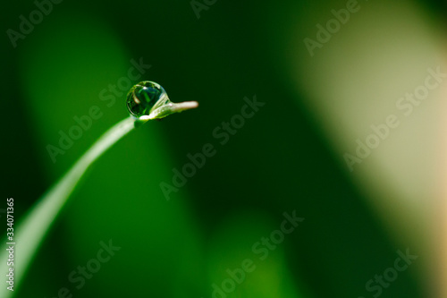 Dew drop macro shot . Green toned . Nature purity concept © alan