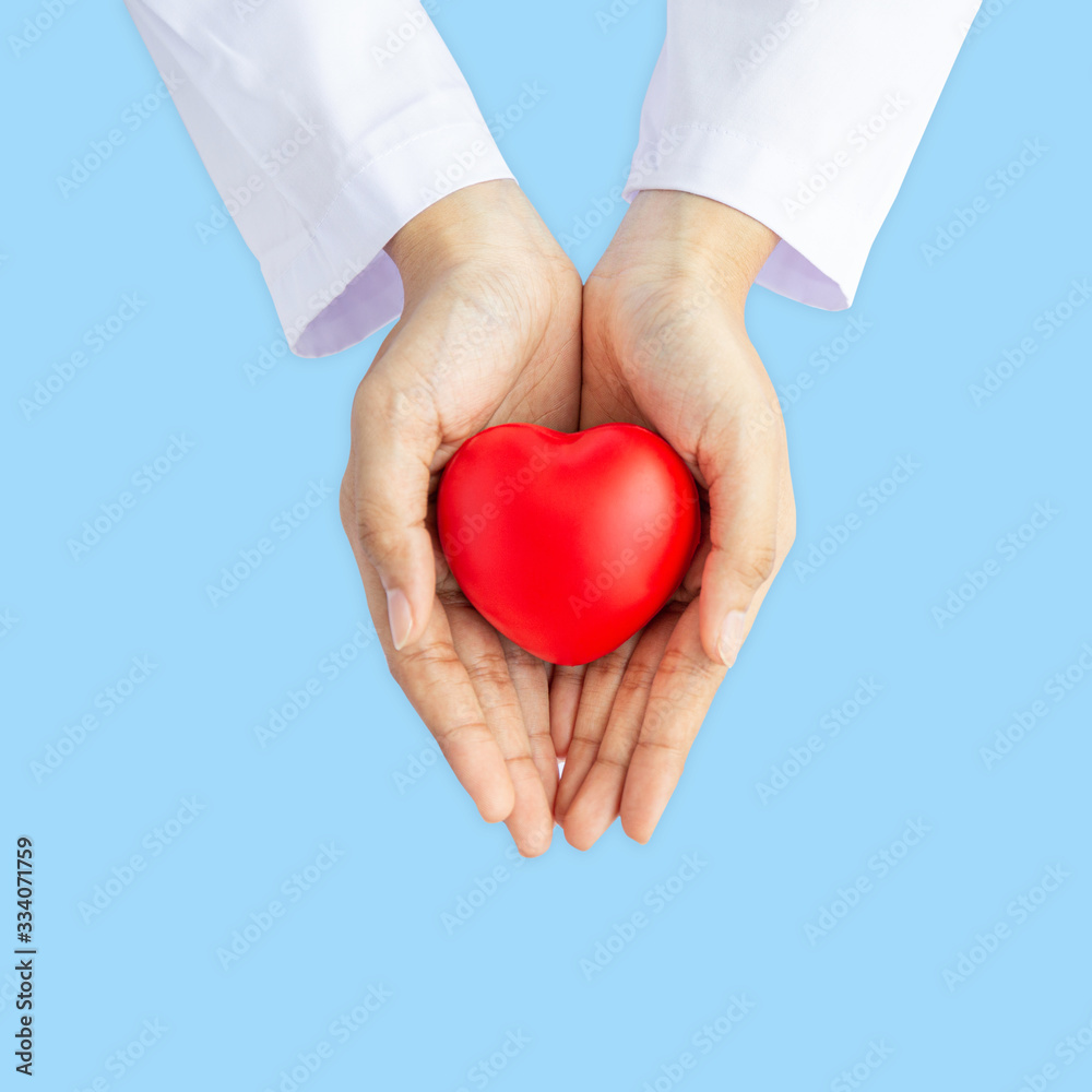 Obraz premium Woman doctor hands holding red heart on wide blue background donate for foundation hospital blood care concept Panoramic world heart and health day, People CSR community, foster support children organ