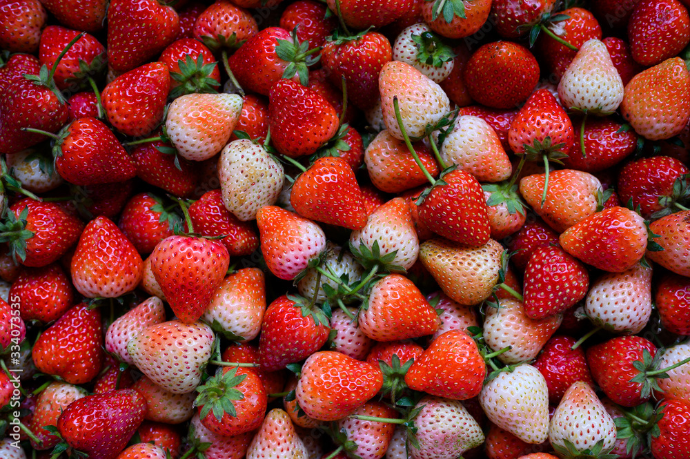 Strawberry. Fresh organic berries macro. Fruit background