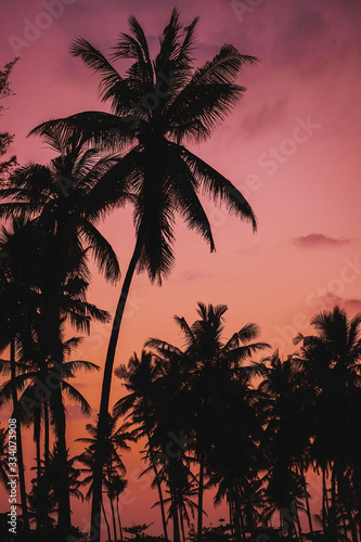 Summer vacation and nature travel adventure concept. Tropical palm tree on sunset sky and clouds abstract background. Silhouette beautiful shot.