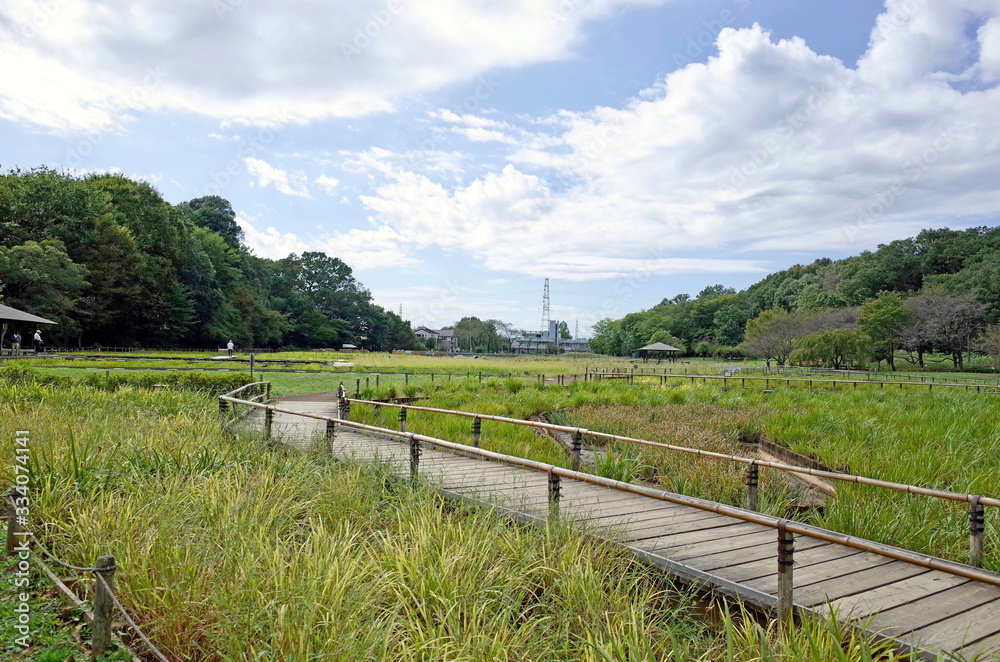 北山公園 北山公園