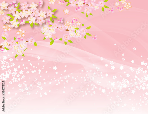 桜　