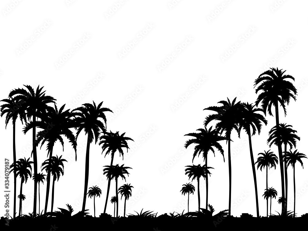 Vector Silhouettes Of Coconut Trees Isolated On Transparent Background ...