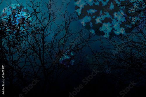 Occulture landscape silhouettes. Tree branches on blue sky background at night dusk time. Big foggy planets raise over. Dramatic scene