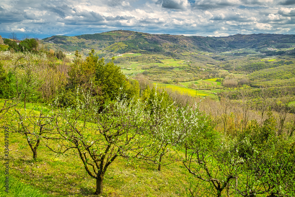 View of the mountainous landscape in the interior of the peninsula of Istria, Croatia, Europe.