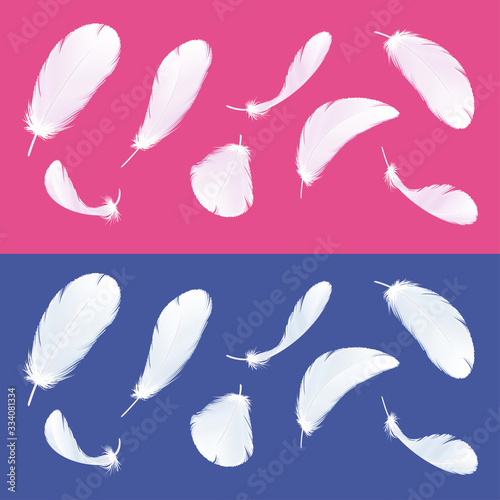 羽根のイラスト素材セット