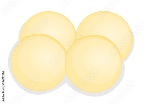 Rasgulla Bengali indian Sweet Dish Food Vector