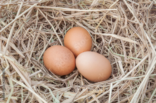 Close up shot of an empty egg on a straw