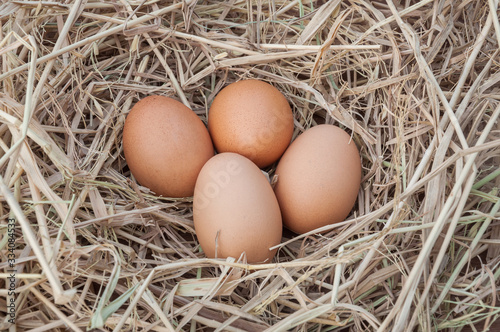 Close up shot of an empty egg on a straw