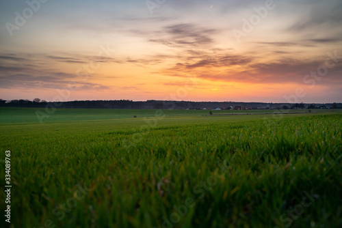 Sunset over spring field of grass