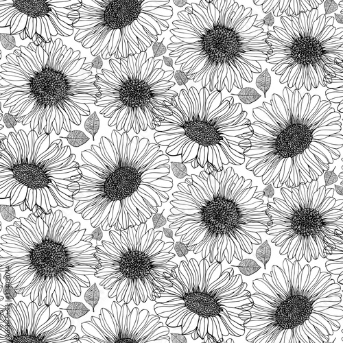 Sunflowers leaves seeds graphics vector patterns 