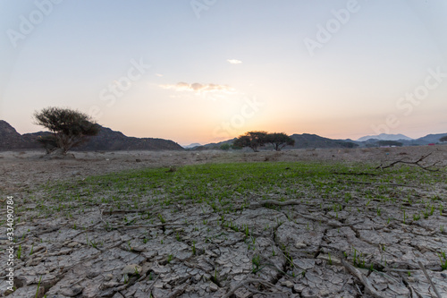 Wadi Shawka Dam Dry Land with Green Grass