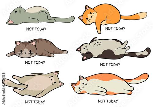 Set of lazy cats. Collection of cute cats lying on their back. Putting aside affairs for tomorrow. Lovely colored cats. Color illustration for children.