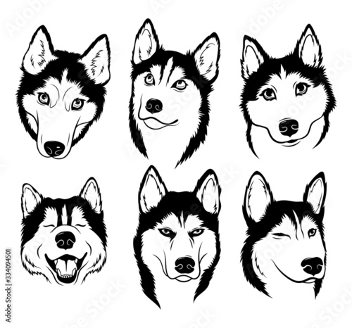 Set of Husky. Collection of pedigree dogs. Black and white illustration of a husky dog. Vector drawing of a pet. Tattoo.