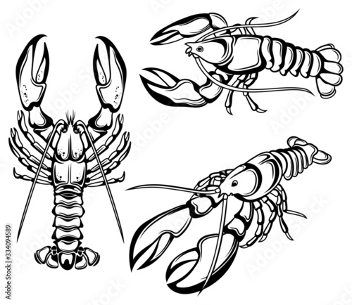 Set of lobsters. Collection of marine crustaceans. Vector illustration of sea animals for children. Tattoo.