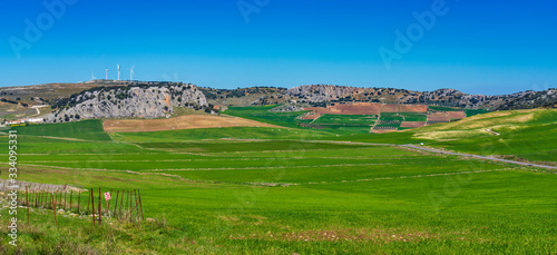 Landscape near Cuevas del Becerro in province Malaga  Andalusia  Spain