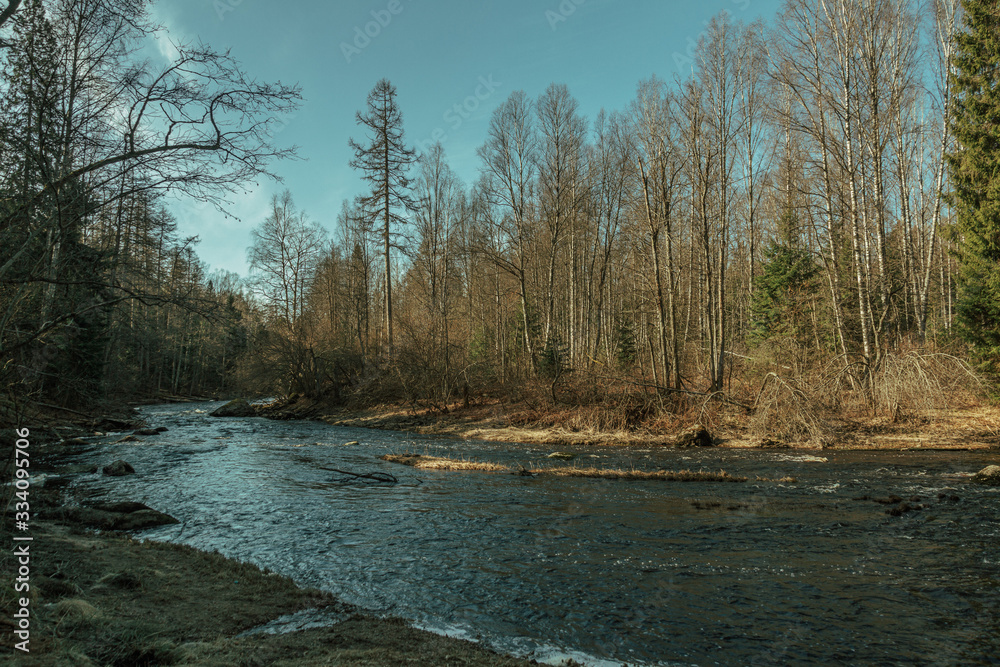 Small river flowing through the spring forest Small river flowing through the spring forest