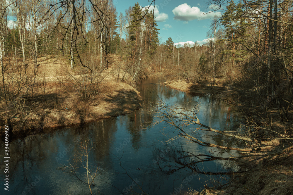 River flows across the forest