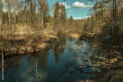 Fototapeta Naklejka Na Ścianę i Meble -  River flows across the forest