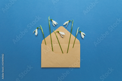 Fresh beautiful snowdrops flowers in envelope isolated on blue background. Invitation on wedding or birthday. Surprise letter (mail), creative art gift card. photo