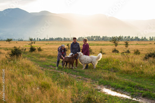 in mountains women walk with dogs at sunset