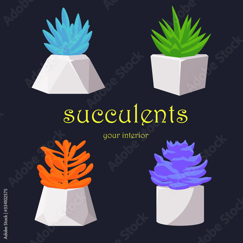 Pots with succulents on a dark background. A set of flowers in pots. Icons for a flower shop. Home interior.