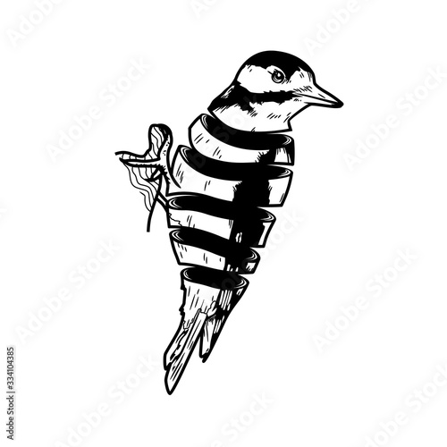 A black woodpecker sits on a branch. A stylish cross-sectional drawing. Isolated on a white background. A cool wood nurse. photo