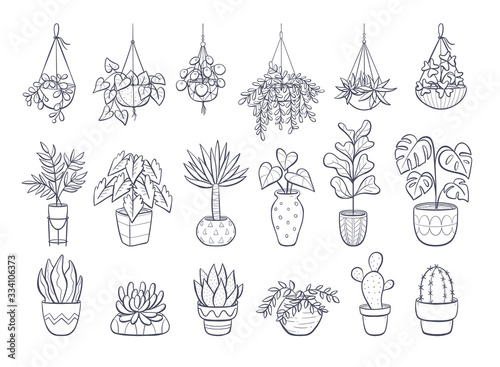 Collection of houseplants isolated on white background. Set of decorative indoor and office plants in pot. Vector doodle plants illustration. Set 1 of 2.