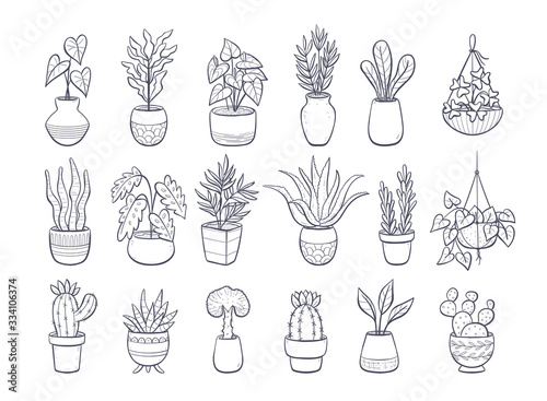 Collection of houseplants isolated on white background. Set of decorative indoor and office plants in pot.; Vector doodle plants illustration. Set 2 of 2.