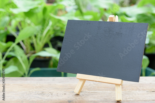 Blank black board on wooden plank  for advertistment  organic vegtable plant proucts with Chinese Cabbage background,health food and living photo