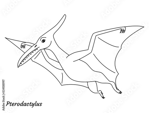 Coloring page outline Pterodactylus dinosaur. Vector illustration © Anastasiya