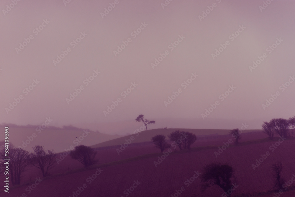 Irish landscape. Ireland. The lonely tree. Isolated tree on the top of a hill. Cloudscape.