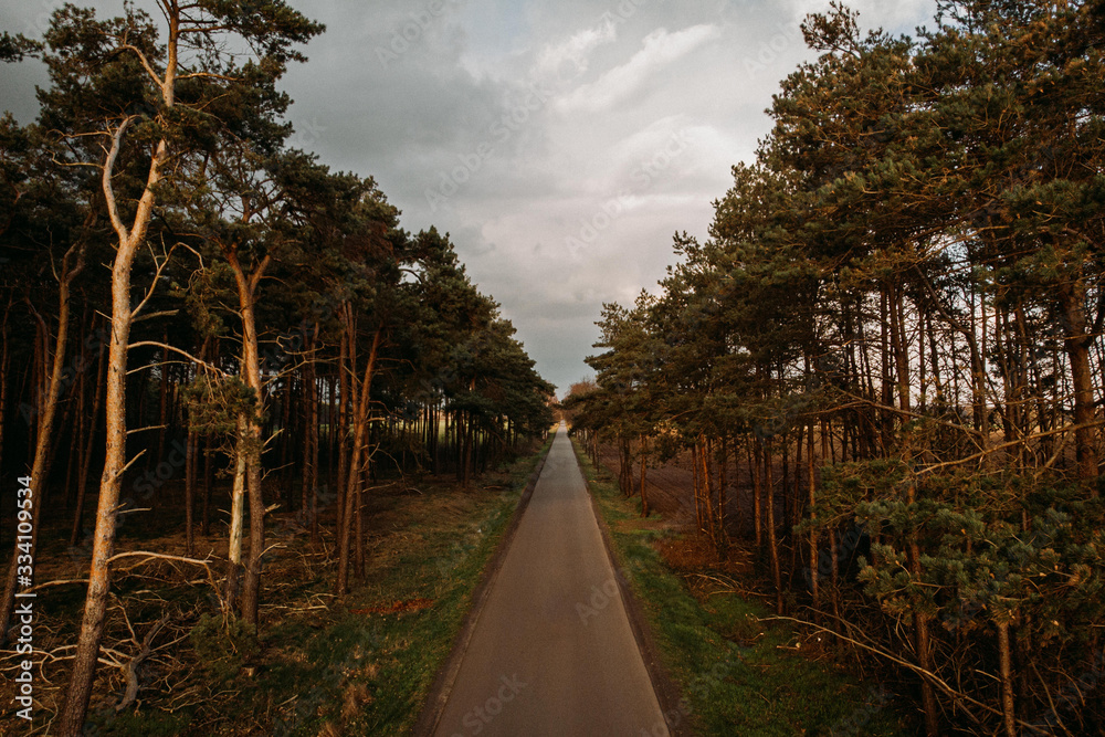 Fototapeta premium lane through woods