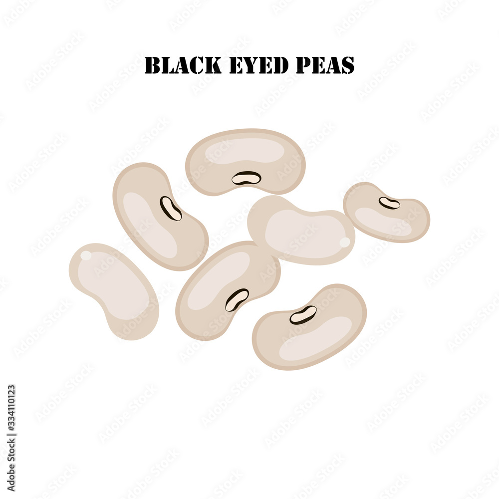 Black eyed peas healthy organic nutrition vector illustration Black eyed peas healthy organic nutrition vector illustration