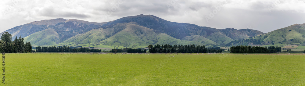 paddocks with livestock in geen landscape, near Five Rivers, Southland, New Zealand