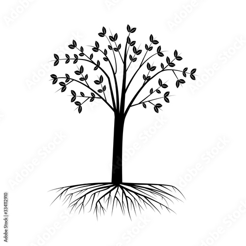 black tree with crown and roots