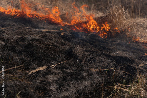 Burning dry grass and reeds. Cleaning the fields and ditches of the thickets of dry grass.