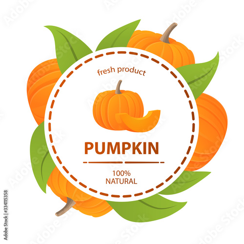 Pumpkin vegetables leaves label fresh product 100% natural. Concept banner for cosmetics, drinks, food for vegetarians or perfumes.Realistic illustration vector.