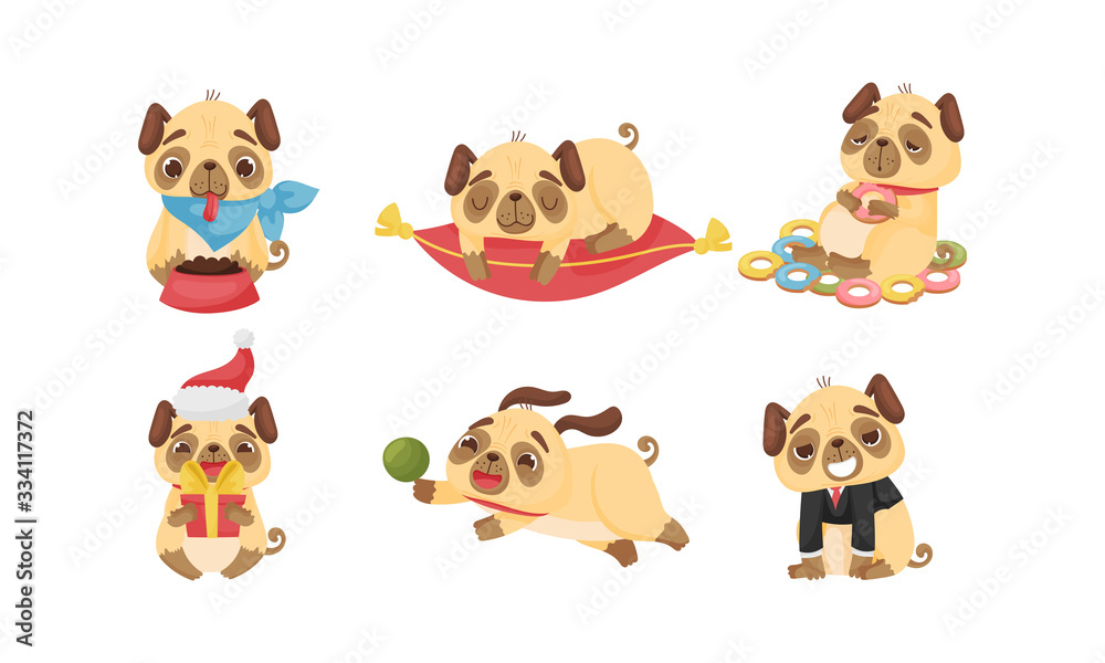 Fototapeta premium Cute Pug-dog Puppy Eating Doughnuts and Playing with Ball Vector Set