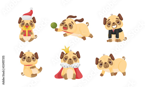 Cute Pug-dog Puppy Wearing Mantle and Playing with Ball Vector Set
