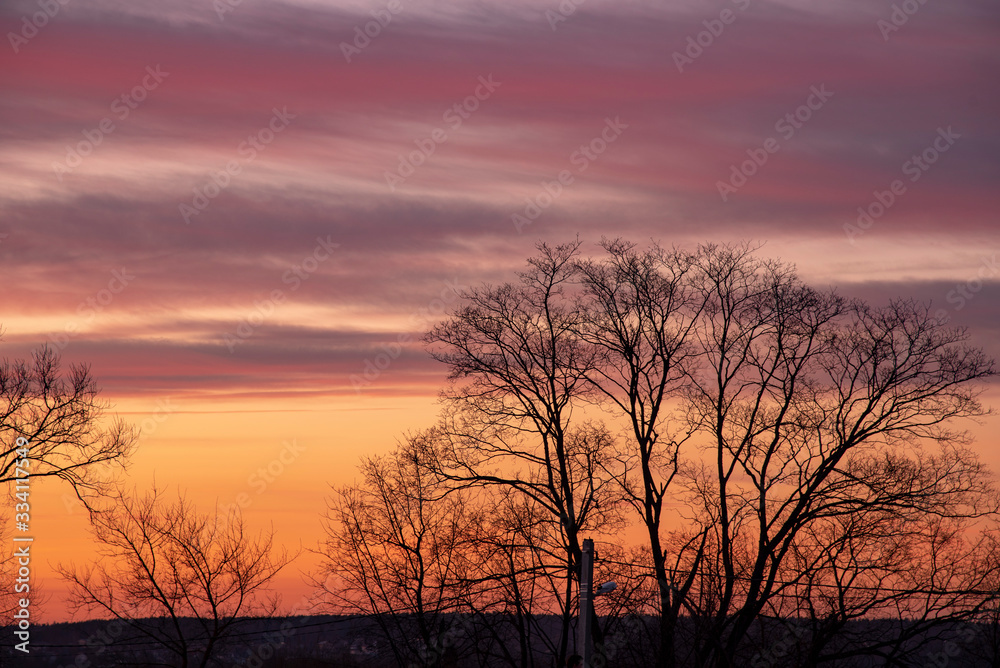 A black silhouette of bare trees against a bright multicolored sunset sky.
