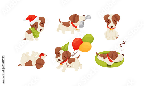 Cute Puppy Wearing Dog Collar Sleeping and Carrying Newspaper Vector Set