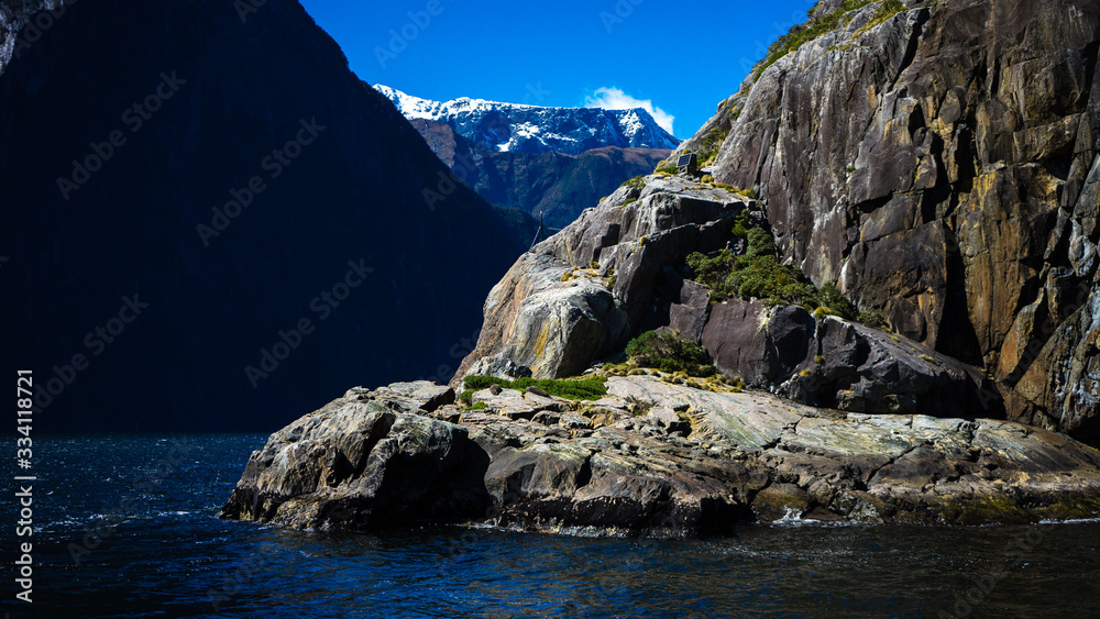 Nice close-up of the sea lions in Milford Sound with the snow capped mountains in the background taken on a sunny spring day, New Zealand