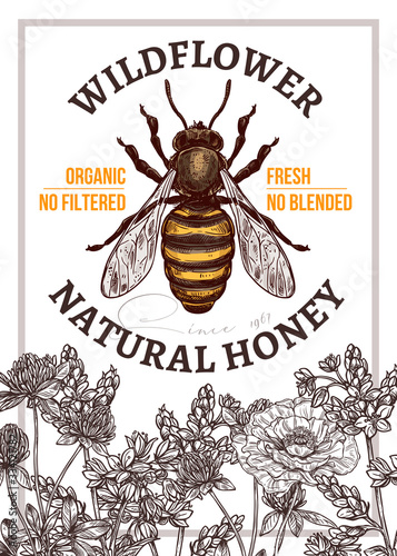 Vector sketch honey poster or card. Template and design for beekiping business with hand drawn illustrations of wildflowers poppy, clover, buckwheat with emblem or label with bee