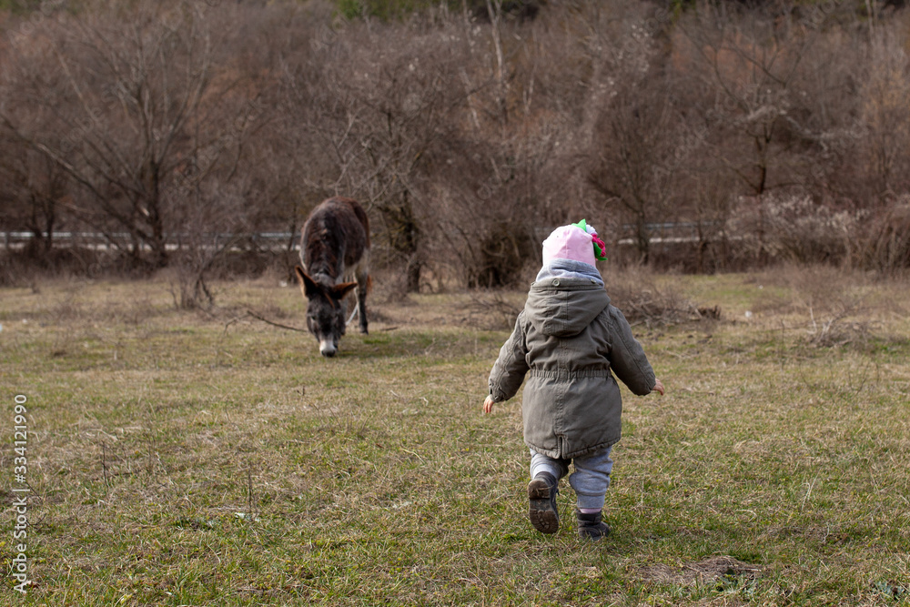 A little girl goes to the donkey. Communication of the child with animals in nature and on the farm A little girl goes to the donkey. Communication of the child with animals in nature and on the farm