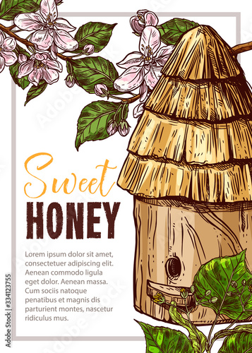 Honey vector poster with bee hive wooden hive with straw roof. Apple blossom and linden flowers on background. Sketch hand drawn engraving illustration