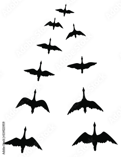 Flock of ducks. A cartoon flock of birds. Vector illustration of flying birds. Drawing for children.